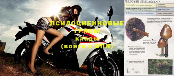 бошки Козельск