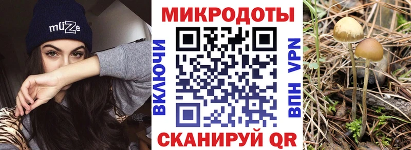 Купить  Глазов  Псилоцибиновые грибы прущие грибы 