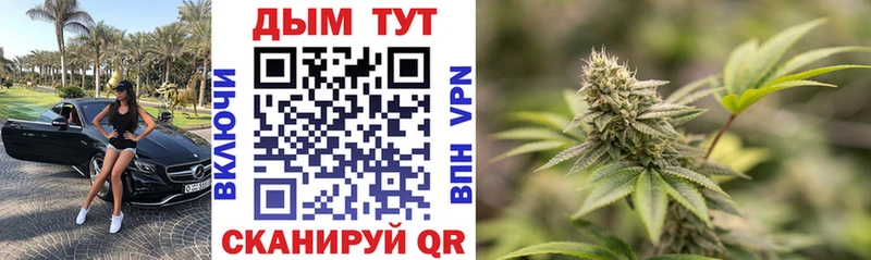 Купить  Глазов  МАРИХУАНА OG Kush 
